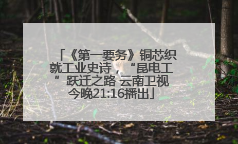 《第一要务》铜芯织就工业史诗，“昆电工”跃迁之路 云南卫视今晚21:16播出
