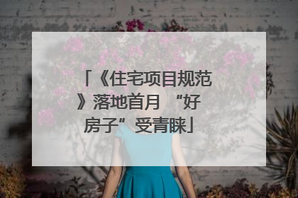 《住宅项目规范》落地首月 “好房子”受青睐