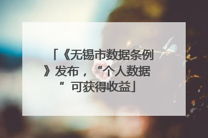 《无锡市数据条例》发布，“个人数据”可获得收益