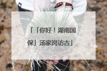 「你好！湖南国保」汤家岗访古