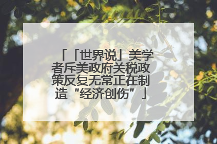 「世界说」美学者斥美政府关税政策反复无常正在制造“经济创伤”