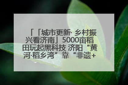 「城市更新· 乡村振兴看济南」5000亩稻田玩起黑科技 济阳“黄河·稻乡湾”靠“非遗+露营”火出圈