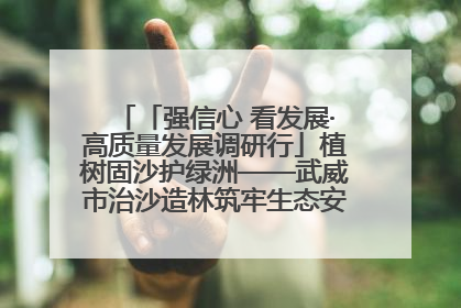 「强信心 看发展·高质量发展调研行」植树固沙护绿洲——武威市治沙造林筑牢生态安全屏障见闻