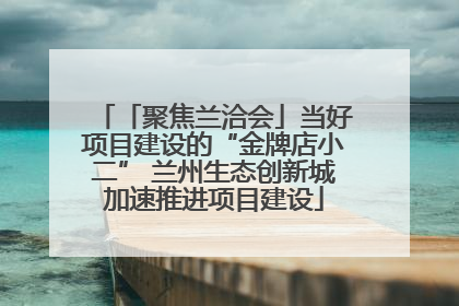「聚焦兰洽会」当好项目建设的“金牌店小二” 兰州生态创新城加速推进项目建设