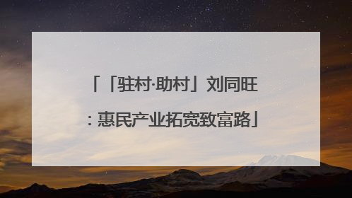 「驻村·助村」刘同旺：惠民产业拓宽致富路