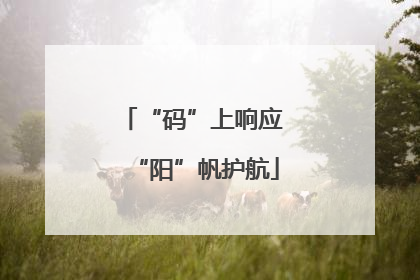 “码”上响应 “阳”帆护航