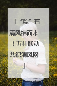“粽”有清风拂面来！五社联动共织清风网