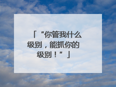 “你管我什么级别，能抓你的级别！”