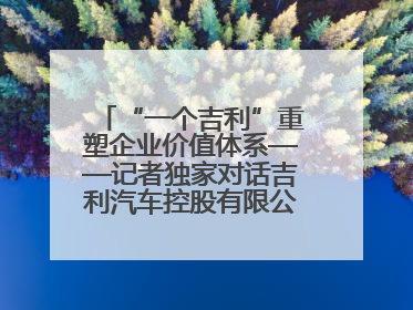 “一个吉利”重塑企业价值体系——记者独家对话吉利汽车控股有限公司行政总裁及执行董事桂生悦
