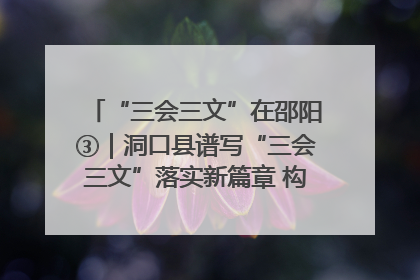“三会三文”在邵阳③｜洞口县谱写“三会三文”落实新篇章 构建协同联动大格局