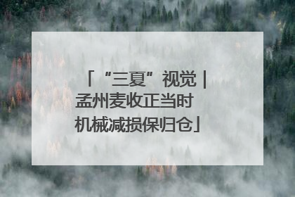 “三夏”视觉｜孟州麦收正当时 机械减损保归仓