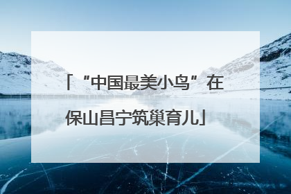 “中国最美小鸟”在保山昌宁筑巢育儿