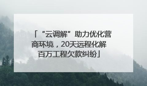 “云调解”助力优化营商环境，20天远程化解百万工程欠款纠纷