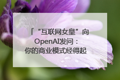 “互联网女皇”向OpenAI发问：你的商业模式经得起价格战考验么？