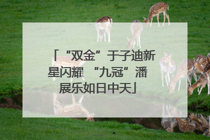 “双金”于子迪新星闪耀 “九冠”潘展乐如日中天