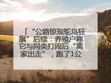 “公路惊现鸵鸟狂飙”后续：养殖户称它与同类打闹后“离家出走”，跑了1公里被找回