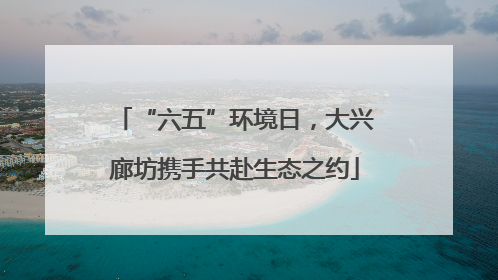 “六五”环境日，大兴廊坊携手共赴生态之约