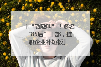 “嗷嗷叫”！多名“85后”干部，挂职企业补短板