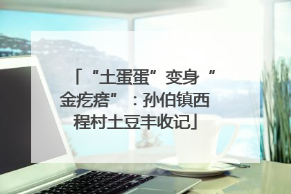 “土蛋蛋”变身“金疙瘩”：孙伯镇西程村土豆丰收记