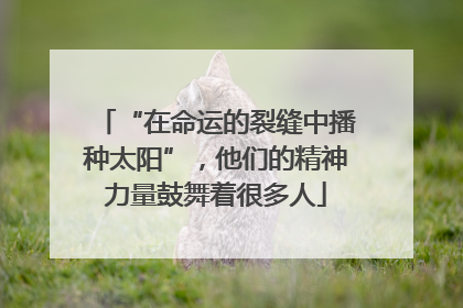 “在命运的裂缝中播种太阳”，他们的精神力量鼓舞着很多人