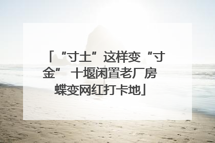 “寸土”这样变“寸金” 十堰闲置老厂房蝶变网红打卡地