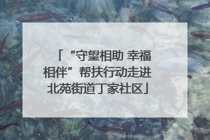 “守望相助 幸福相伴”帮扶行动走进北苑街道丁家社区