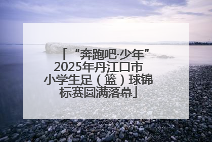 “奔跑吧·少年”2025年丹江口市小学生足（篮）球锦标赛圆满落幕