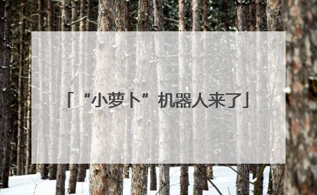 “小萝卜”机器人来了