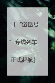 “岱岳号”专线列车正式起航
