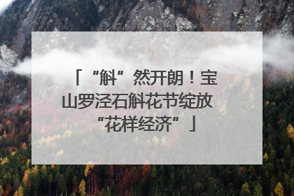 “斛”然开朗！宝山罗泾石斛花节绽放“花样经济”