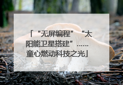 “无屏编程”“太阳能卫星搭建”……童心燃动科技之光