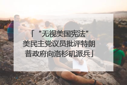 “无视美国宪法” 美民主党议员批评特朗普政府向洛杉矶派兵