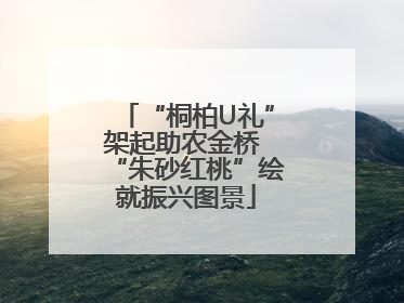“桐柏U礼”架起助农金桥 “朱砂红桃”绘就振兴图景
