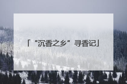 “沉香之乡”寻香记