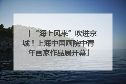 “海上风来”吹进京城！上海中国画院中青年画家作品展开幕