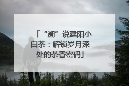 “溯”说建阳小白茶：解锁岁月深处的茶香密码