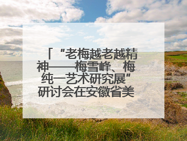 “老梅越老越精神——梅雪峰、梅纯一艺术研究展”研讨会在安徽省美术馆召开