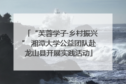 “芙蓉学子·乡村振兴” 湘潭大学公益团队赴龙山县开展实践活动
