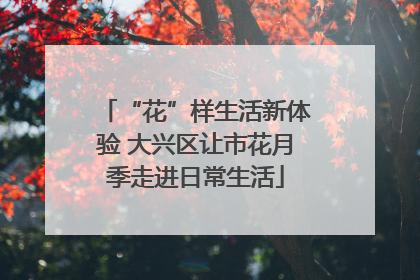 “花”样生活新体验 大兴区让市花月季走进日常生活