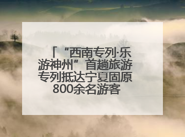 “西南专列·乐游神州”首趟旅游专列抵达宁夏固原 800余名游客开启清凉之旅