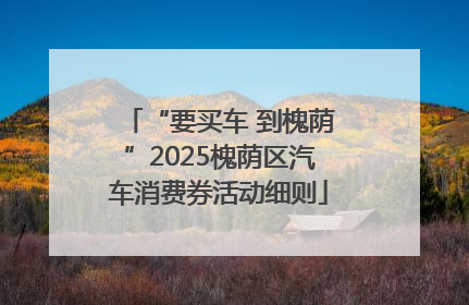 “要买车 到槐荫”2025槐荫区汽车消费券活动细则