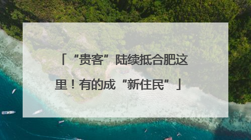 “贵客”陆续抵合肥这里！有的成“新住民”