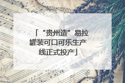 “贵州造”易拉罐装可口可乐生产线正式投产