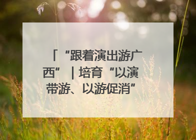 “跟着演出游广西”｜培育“以演带游、以游促消”文旅消费新生态