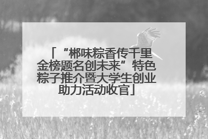 “郴味粽香传千里 金榜题名创未来”特色粽子推介暨大学生创业助力活动收官