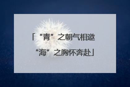 “青”之朝气相邀 “海”之胸怀奔赴
