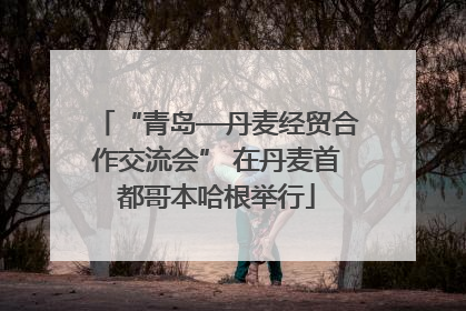 “青岛—丹麦经贸合作交流会” 在丹麦首都哥本哈根举行