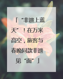 “非遗上蓝天”！在万米高空，旅客与春晚同款非遗见“面”
