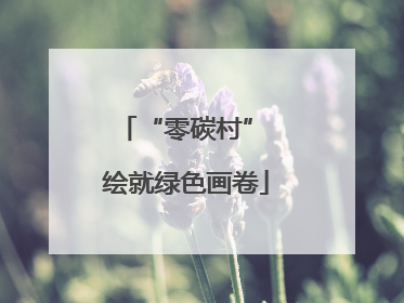 “零碳村” 绘就绿色画卷