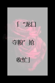 “龙口夺粮”抢收忙
